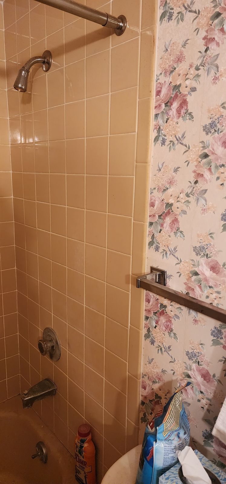 Full Condo Renovation – Before we started 3